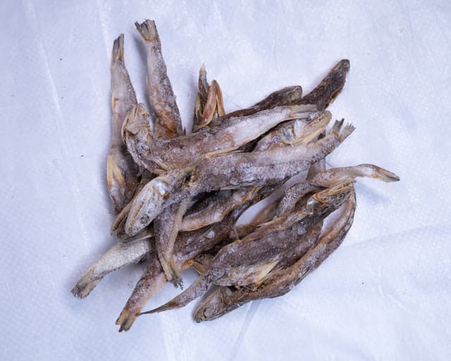 Image of Kelagan Dry Fish before cleaning