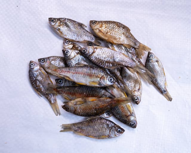 Image of BSP Dry Fish