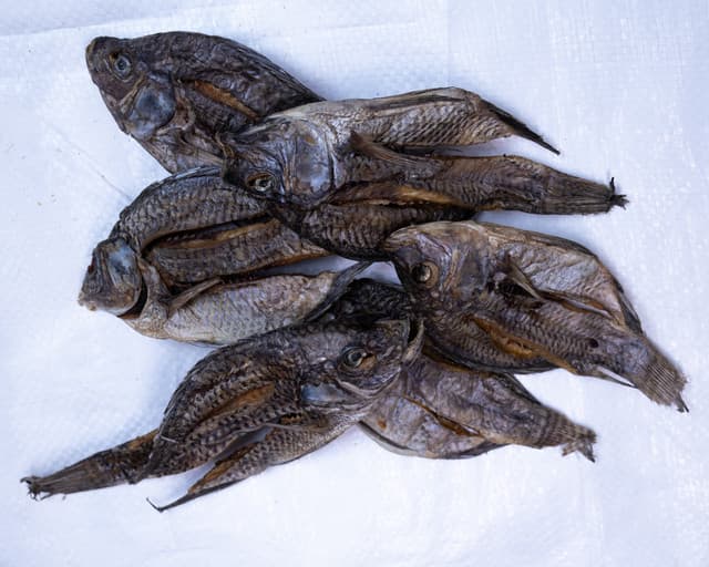 Image of J Dry Fish